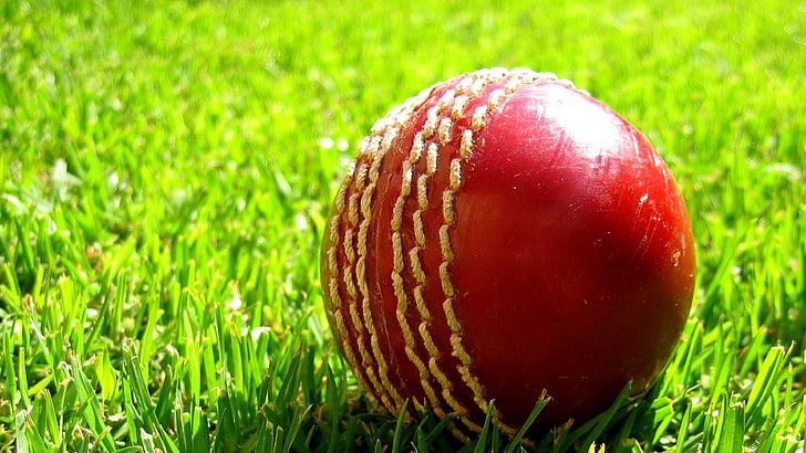 ‘केपी ओली कप राष्ट्रिय टि–ट्वान्टी’ क्रिकेटमा १२ टोली